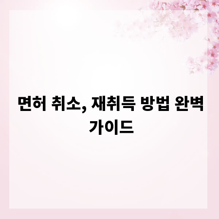 면허 취소, 재취득 방법 완벽 가이드