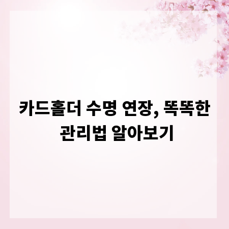 카드홀더 수명 연장, 똑똑한 관리법 알아보기