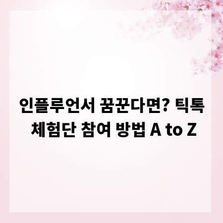 인플루언서 꿈꾼다면? 틱톡 체험단 참여 방법 A to Z
