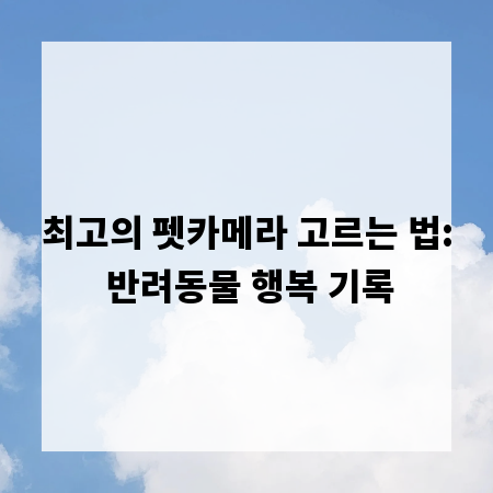 최고의 펫카메라 고르는 법: 반려동물 행복 기록
