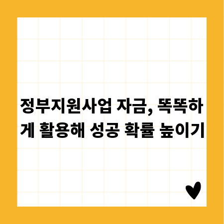 정부지원사업 자금, 똑똑하게 활용해 성공 확률 높이기
