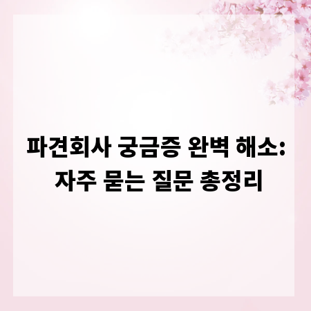 파견회사 궁금증 완벽 해소: 자주 묻는 질문 총정리