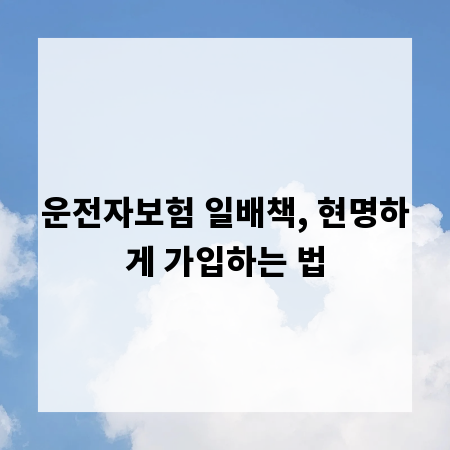 운전자보험 일배책, 현명하게 가입하는 법