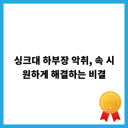 싱크대 하부장 악취, 속 시원하게 해결하는 비결