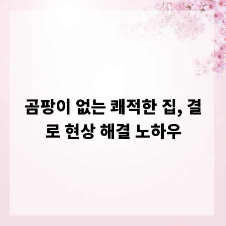 곰팡이 없는 쾌적한 집, 결로 현상 해결 노하우