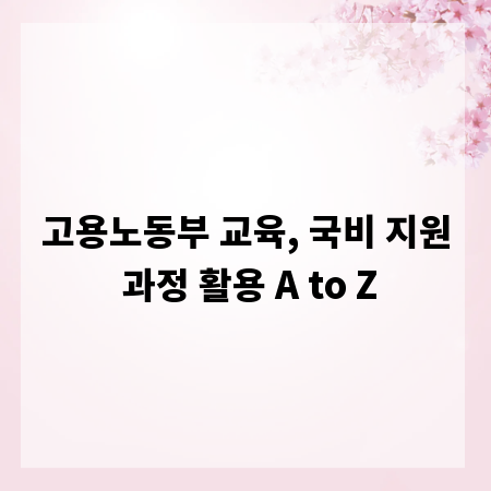 고용노동부 교육, 국비 지원 과정 활용 A to Z