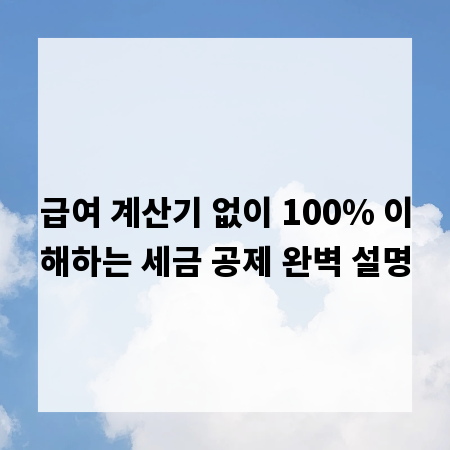 급여 계산기 없이 100% 이해하는 세금 공제 완벽 설명