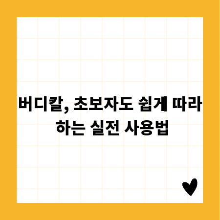 버디칼, 초보자도 쉽게 따라 하는 실전 사용법