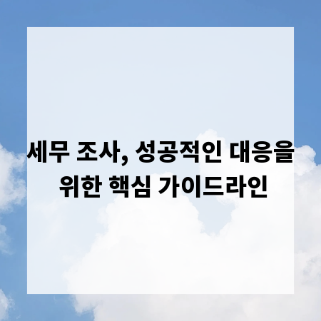 세무 조사, 성공적인 대응을 위한 핵심 가이드라인