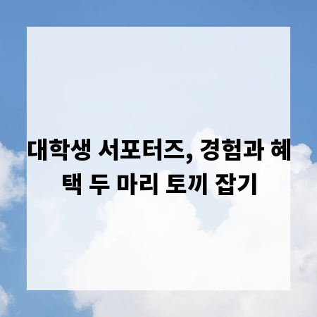 대학생 서포터즈, 경험과 혜택 두 마리 토끼 잡기