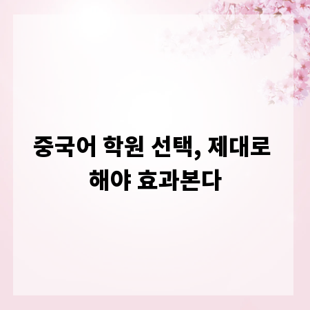 중국어 학원 선택, 제대로 해야 효과본다