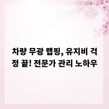차량 무광 랩핑, 유지비 걱정 끝! 전문가 관리 노하우