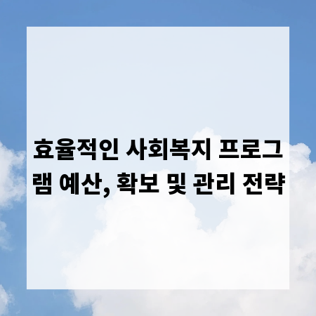 효율적인 사회복지 프로그램 예산, 확보 및 관리 전략
