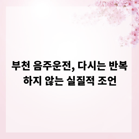 부천 음주운전, 다시는 반복하지 않는 실질적 조언