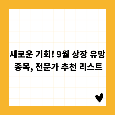 새로운 기회! 9월 상장 유망 종목, 전문가 추천 리스트