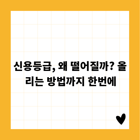 신용등급, 왜 떨어질까? 올리는 방법까지 한번에