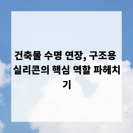건축물 수명 연장, 구조용 실리콘의 핵심 역할 파헤치기