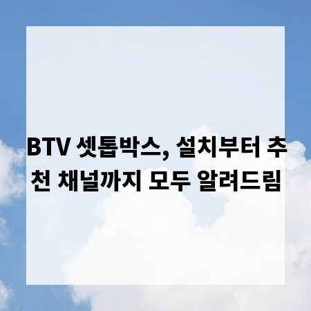 BTV 셋톱박스, 설치부터 추천 채널까지 모두 알려드림