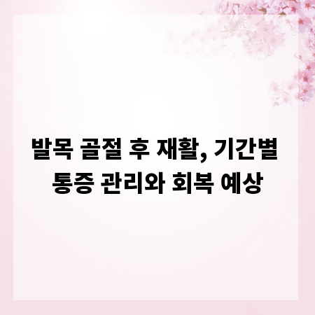 발목 골절 후 재활, 기간별 통증 관리와 회복 예상
