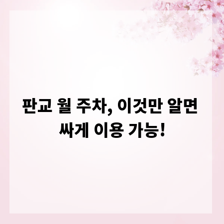 판교 월 주차, 이것만 알면 싸게 이용 가능!