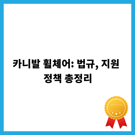 카니발 휠체어: 법규, 지원 정책 총정리
