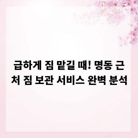 급하게 짐 맡길 때! 명동 근처 짐 보관 서비스 완벽 분석