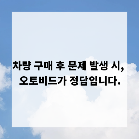차량 구매 후 문제 발생 시, 오토비드가 정답입니다.