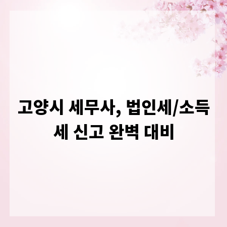고양시 세무사, 법인세/소득세 신고 완벽 대비