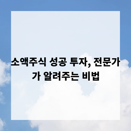 소액주식 성공 투자, 전문가가 알려주는 비법