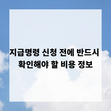 지급명령 신청 전에 반드시 확인해야 할 비용 정보