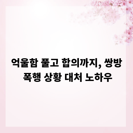 억울함 풀고 합의까지, 쌍방 폭행 상황 대처 노하우