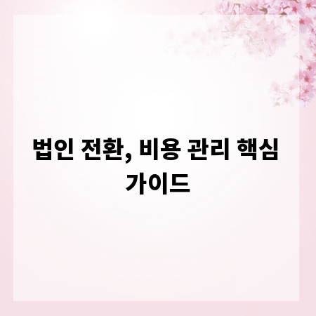 법인 전환, 비용 관리 핵심 가이드