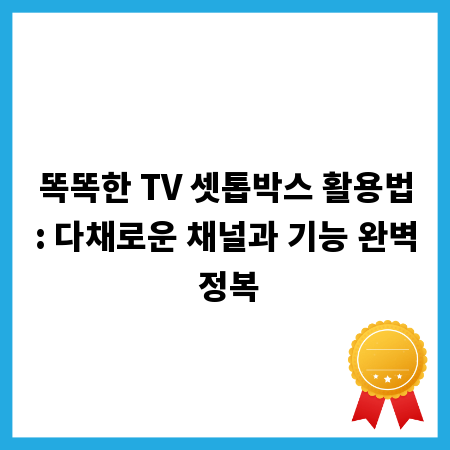 똑똑한 TV 셋톱박스 활용법: 다채로운 채널과 기능 완벽 정복