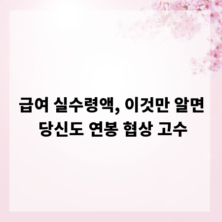급여 실수령액, 이것만 알면 당신도 연봉 협상 고수