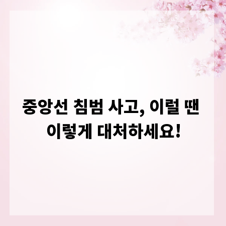 중앙선 침범 사고, 이럴 땐 이렇게 대처하세요!