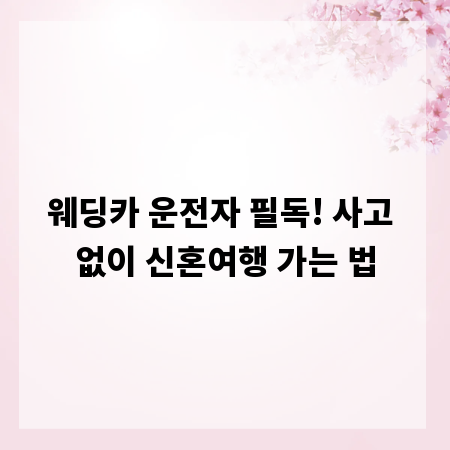 웨딩카 운전자 필독! 사고 없이 신혼여행 가는 법