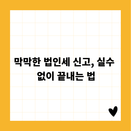막막한 법인세 신고, 실수 없이 끝내는 법
