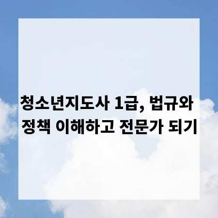 청소년지도사 1급, 법규와 정책 이해하고 전문가 되기