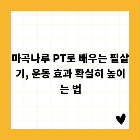 마곡나루 PT로 배우는 필살기, 운동 효과 확실히 높이는 법