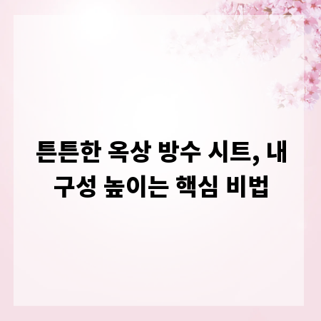 튼튼한 옥상 방수 시트, 내구성 높이는 핵심 비법
