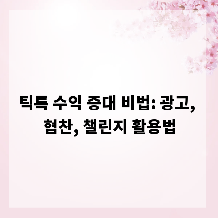 틱톡 수익 증대 비법: 광고, 협찬, 챌린지 활용법
