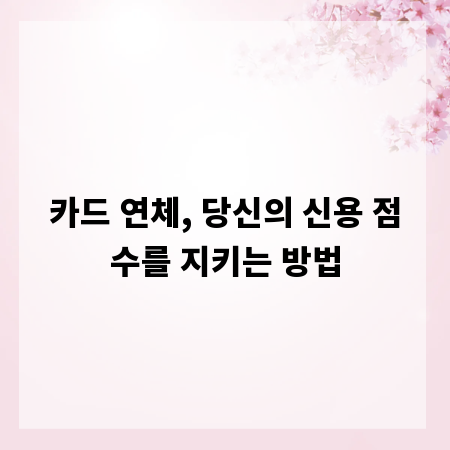 카드 연체, 당신의 신용 점수를 지키는 방법