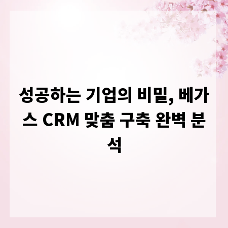 성공하는 기업의 비밀, 베가스 CRM 맞춤 구축 완벽 분석