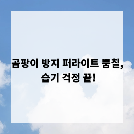 곰팡이 방지 퍼라이트 뿜칠, 습기 걱정 끝!
