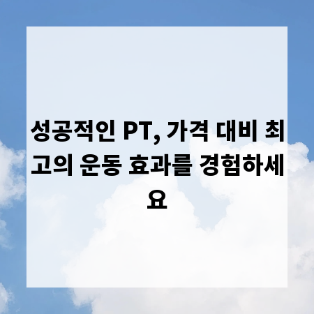 성공적인 PT, 가격 대비 최고의 운동 효과를 경험하세요