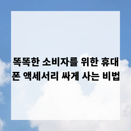 똑똑한 소비자를 위한 휴대폰 액세서리 싸게 사는 비법