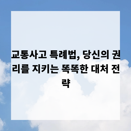 교통사고 특례법, 당신의 권리를 지키는 똑똑한 대처 전략