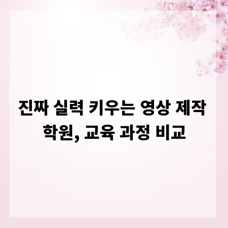 진짜 실력 키우는 영상 제작 학원, 교육 과정 비교