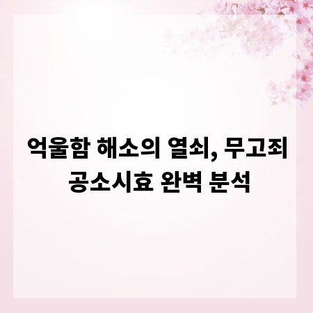 억울함 해소의 열쇠, 무고죄 공소시효 완벽 분석