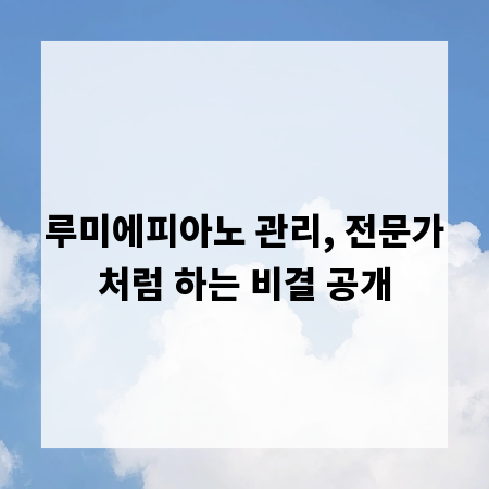 루미에피아노 관리, 전문가처럼 하는 비결 공개